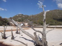 /album/conhe%c3%a7a%20as%20mais%20belas%20cachoeira%20deste%20paraiso/dscf0259-jpg/