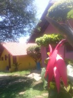 /album/poudasa-minha-casa/cam02318-jpg/